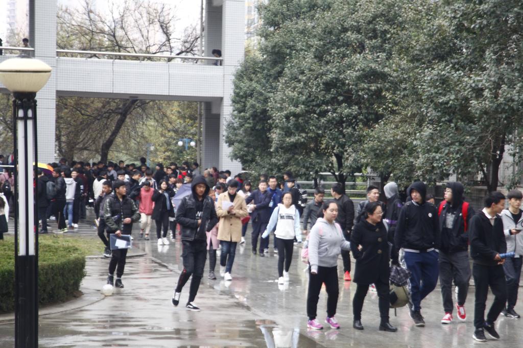 伴着春雨一起圆梦新生活