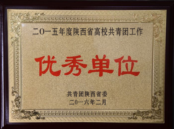 院团委被评为2015年度陕西省高校共青团工作优秀单位