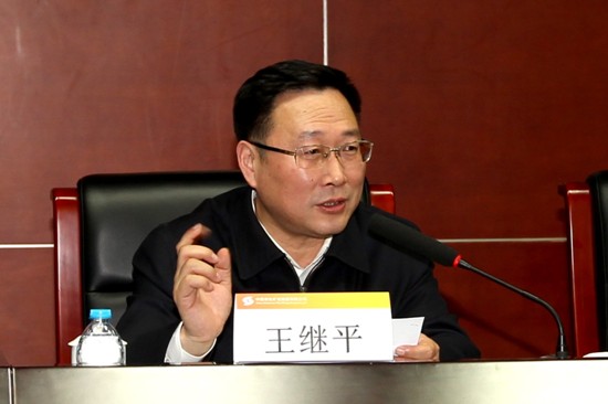 教育部职成司巡视员王继平讲话